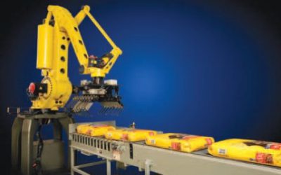 A robot solution for cement palletizing