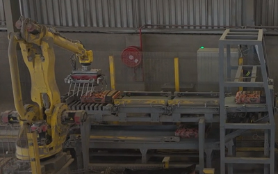 Double Robot Cement Palletising System