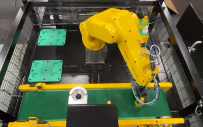 Robotic Training System